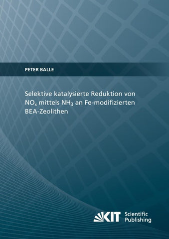 Selektive katalysierte Reduktion von NOx mittels NH3 an Fe-modifizierten BEA-Zeolithen