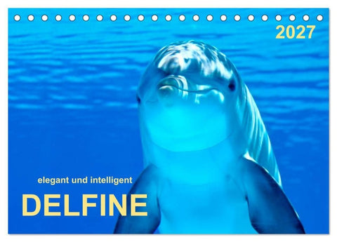 Delfine - elegant und intelligent (Tischkalender 2027 DIN A5 quer), CALVENDO Monatskalender