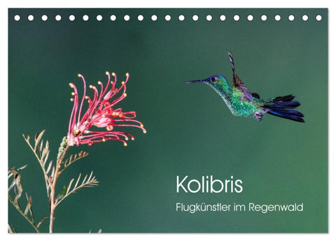 Kolibris - Flugkünstler im Regenwald (Tischkalender 2026 DIN A5 quer), CALVENDO Monatskalender