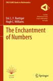 The Enchantment of Numbers