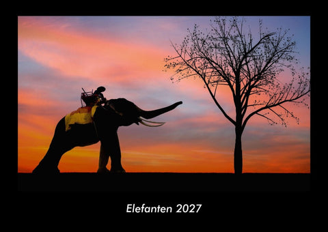 Elefanten 2027 Fotokalender DIN A3