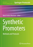 Synthetic Promoters