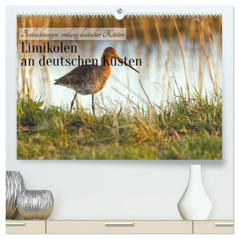 Limikolen an deutschen Küsten (hochwertiger Premium Wandkalender 2027 DIN A2 quer), Kunstdruck in Hochglanz