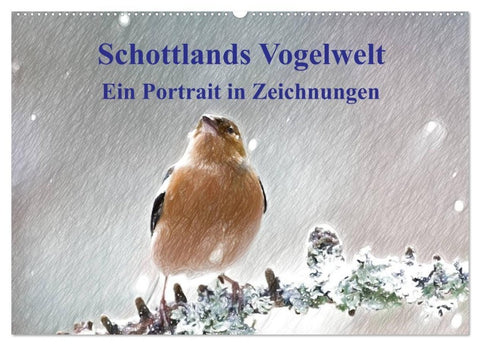Schottlands Vogelwelt - Ein Porträt in Zeichnungen (Wandkalender 2027 DIN A2 quer), CALVENDO Monatskalender