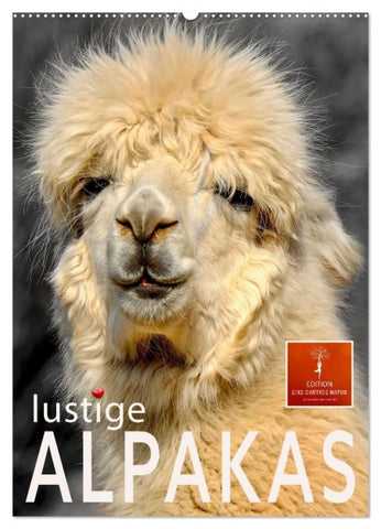 Lustige Alpakas (Wandkalender 2027 DIN A2 hoch), CALVENDO Monatskalender