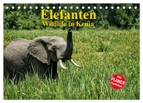 Elefanten. Wildlife in Kenia (Tischkalender 2027 DIN A5 quer), CALVENDO Monatskalender