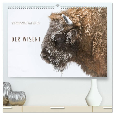 Emotionale Momente: Der Wisent. (hochwertiger Premium Wandkalender 2027 DIN A2 quer), Kunstdruck in Hochglanz