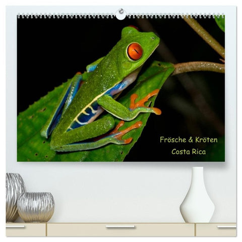 Frösche & Kröten Costa Rica (hochwertiger Premium Wandkalender 2027 DIN A2 quer), Kunstdruck in Hochglanz