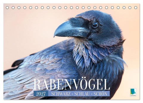 Rabenvögel: Schwarz, schlau, schön (Tischkalender 2027 DIN A5 quer), CALVENDO Monatskalender