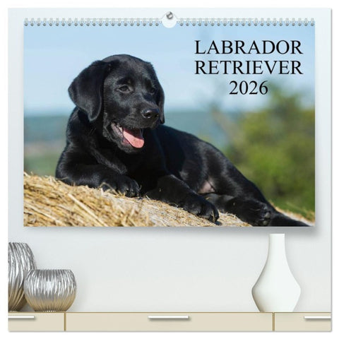 Labrador Retriever 2026 (hochwertiger Premium Wandkalender 2026 DIN A2 quer), Kunstdruck in Hochglanz