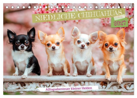 Niedliche Chihuahuas (Tischkalender 2027 DIN A5 quer), CALVENDO Monatskalender