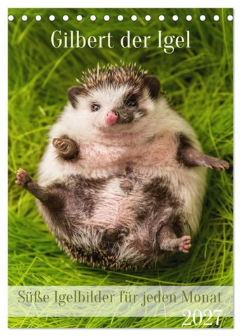 Gilbert der Igel (Tischkalender 2027 DIN A5 hoch), CALVENDO Monatskalender