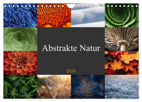 Abstrakte Natur (Wandkalender 2026 DIN A4 quer), CALVENDO Monatskalender