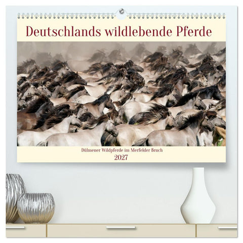 Deutschlands wildlebende Pferde (hochwertiger Premium Wandkalender 2027 DIN A2 quer), Kunstdruck in Hochglanz