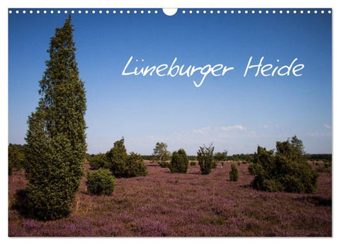 Lüneburger Heide (Wandkalender 2026 DIN A3 quer), CALVENDO Monatskalender