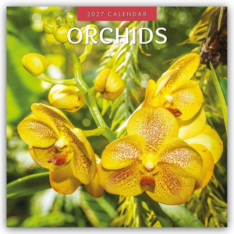 Orchids – Orchideen 2027 – 16-Monatskalender