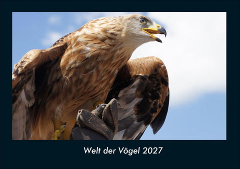 Welt der Vögel 2027 Fotokalender DIN A4