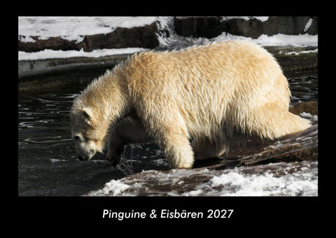 Pinguine & Eisbären 2027 Fotokalender DIN A3
