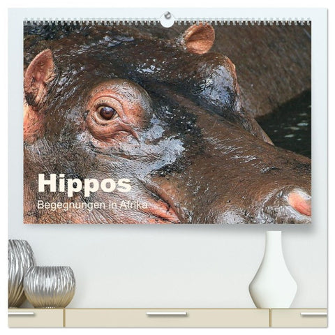 Hippos - Begegnungen in Afrika (hochwertiger Premium Wandkalender 2026 DIN A2 quer), Kunstdruck in Hochglanz