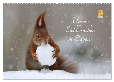 Unsere Eichhörnchen in Bayern (Wandkalender 2027 DIN A2 quer), CALVENDO Monatskalender