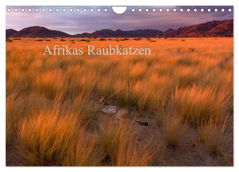 Afrikas Raubkatzen (Wandkalender 2027 DIN A4 quer), CALVENDO Monatskalender