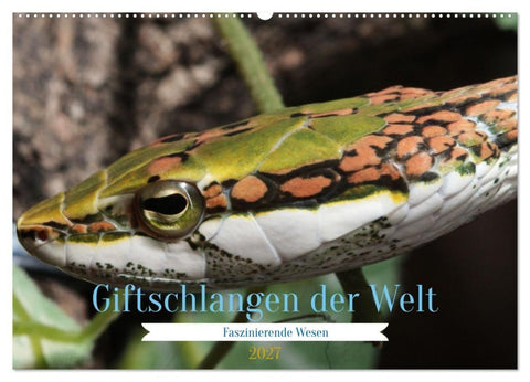 Giftschlangen der Welt (Wandkalender 2027 DIN A2 quer), CALVENDO Monatskalender