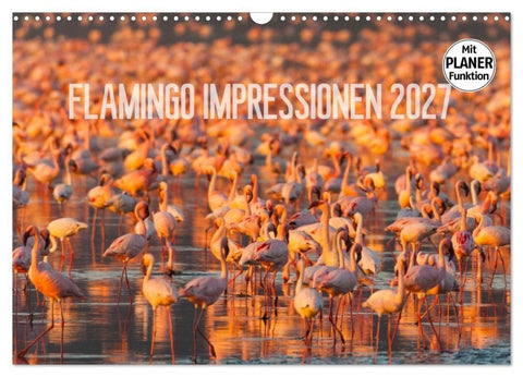 Flamingo Impressionen 2027 (Wandkalender 2027 DIN A3 quer), CALVENDO Monatskalender