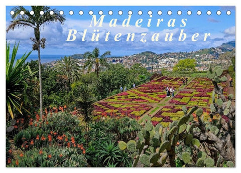 Madeiras Blütenzauber (Tischkalender 2026 DIN A5 quer), CALVENDO Monatskalender