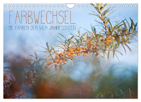 Farbwechsel - Die Farben der vier Jahreszeiten (Wandkalender 2026 DIN A4 quer), CALVENDO Monatskalender