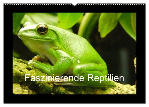 Faszinierende Reptilien (Wandkalender 2026 DIN A2 quer), CALVENDO Monatskalender