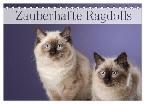 Zauberhafte Ragdolls / Geburtstagskalender (Tischkalender 2027 DIN A5 quer), CALVENDO Monatskalender