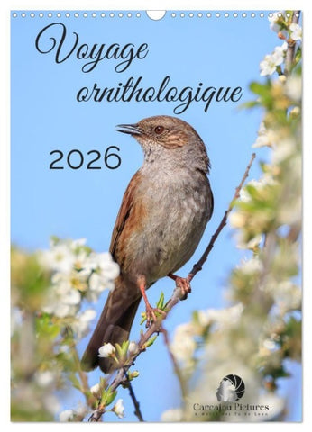 Voyage ornithologique (Calendrier mural 2026 DIN A3 horizontal), CALVENDO calendrier mensuel