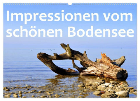 Impressionen vom schönen Bodensee (Wandkalender 2026 DIN A2 quer), CALVENDO Monatskalender
