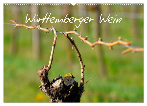 Württemberger Wein 2026 (Wandkalender 2026 DIN A2 quer), CALVENDO Monatskalender