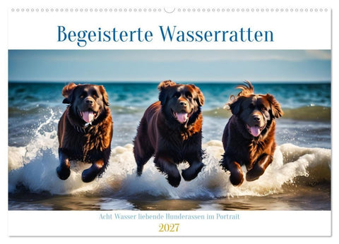 Begeisterte Wasserratten (Wandkalender 2027 DIN A2 quer), CALVENDO Monatskalender