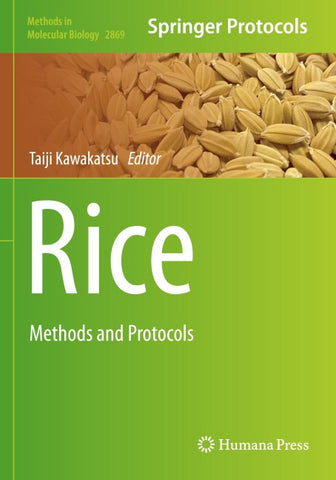 Rice