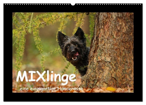 MIXlinge (Wandkalender 2027 DIN A2 quer), CALVENDO Monatskalender