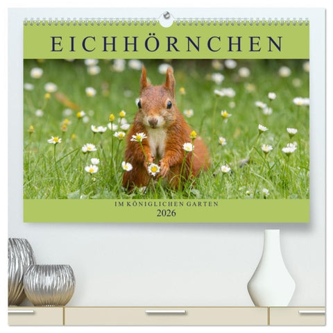 Eichhörnchen im Königlichen Garten (hochwertiger Premium Wandkalender 2026 DIN A2 quer), Kunstdruck in Hochglanz