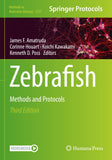 Zebrafish