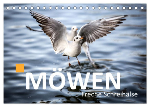 MÖWEN Freche Schreihälse (Tischkalender 2026 DIN A5 quer), CALVENDO Monatskalender