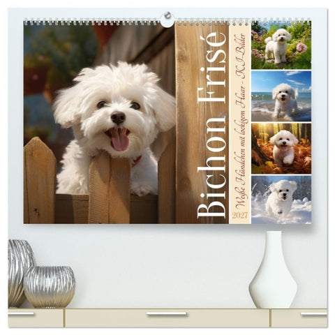 Bichon frisé, weiße Hündchen mit lockigem Haar (hochwertiger Premium Wandkalender 2027 DIN A2 quer), Kunstdruck in Hochglanz