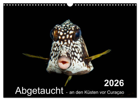 Abgetaucht - an den Küsten vor Curaçao (Wandkalender 2026 DIN A3 quer), CALVENDO Monatskalender