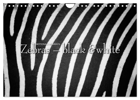 Emotionale Momente: Zebras - black & white. (Wandkalender 2027 DIN A4 quer), CALVENDO Monatskalender