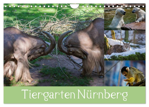 Tiergarten Nürnberg (Wandkalender 2026 DIN A4 quer), CALVENDO Monatskalender