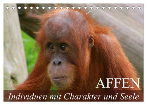 Affen - Individuen mit Charakter und Seele (Tischkalender 2027 DIN A5 quer), CALVENDO Monatskalender