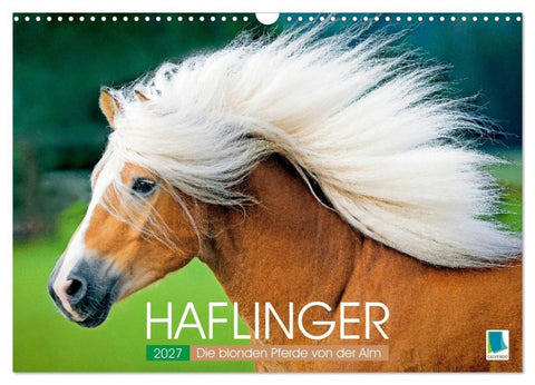 Haflinger: Die blonden Pferde von der Alm (Wandkalender 2027 DIN A3 quer), CALVENDO Monatskalender