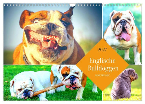 Dicke Freunde. Englische Bulldoggen (Wandkalender 2027 DIN A3 quer), CALVENDO Monatskalender