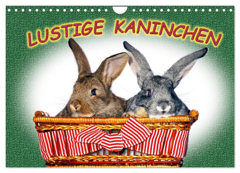 Lustige Kaninchen (Wandkalender 2026 DIN A4 quer), CALVENDO Monatskalender