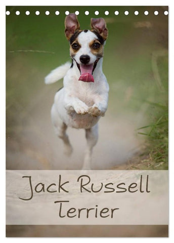 Jack Russell Terrier (Tischkalender 2026 DIN A5 hoch), CALVENDO Monatskalender