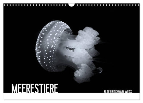 Meerestiere Bilder in Schwarz Weiss (Wandkalender 2026 DIN A3 quer), CALVENDO Monatskalender